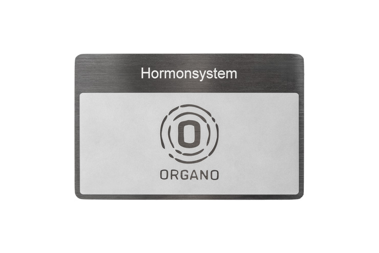 ORGANETIK Programm-Karte Hormonsystem