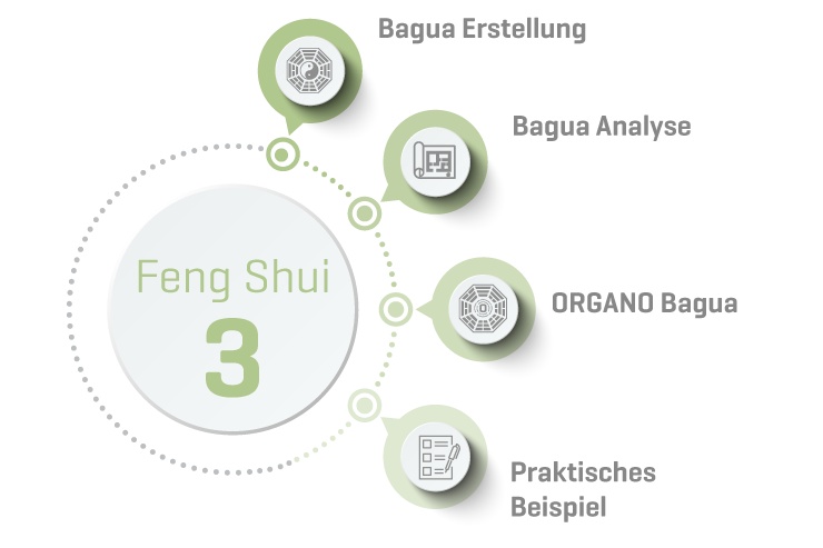 ORGANO Feng Shui 3